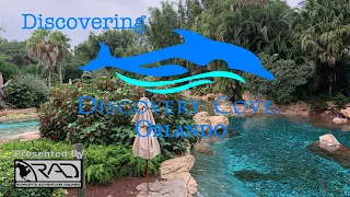 Discovering Discovery Cove