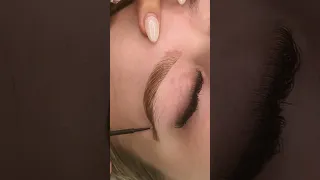Eyebrow tint with waxing