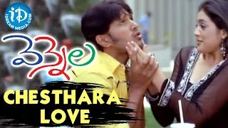 Vennela Movie - Chesthara Love Video Song || Raja, Parvati Melton || Deva Katta || Mahesh Shankar