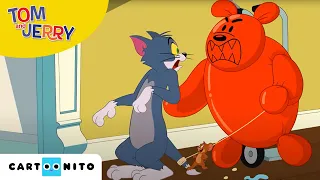 Tom i Jerry | Zabawa z balonami | Cartoonito