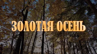 Золотая осень. 4К Relax music video.