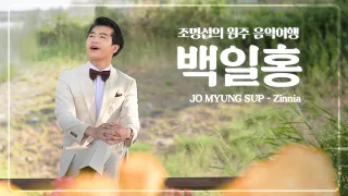 [명 스-페샬] 에밀스 여러분의 사랑이 담긴 백일홍 길을 다녀왔습니다!