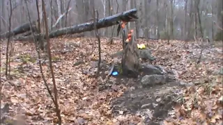 Sasquatch Ontario - Hoax Confirmed