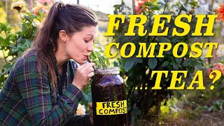 DIY Compost Tea Brewer is the answer to many Garden Problems