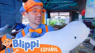 Aprende sobre Animales Acuáticos con Blippi | Canciones para niños | Canciones educativas