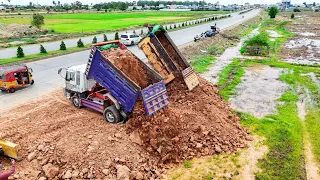 Just start New Project Land fill up process by 5Ton Dump truck unloading Soil & Dozer Pushing clear