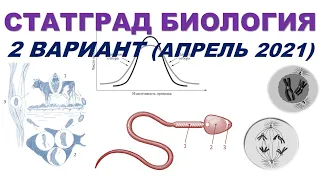 СТАТГРАД БИОЛОГИЯ | 2 вариант | Апрель 2021