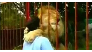 Lion’s emotional response to the woman who saved him will have you crying