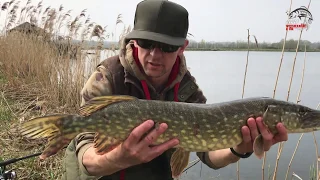 PIĘKNE ODJAZDY SZCZUPAKÓW NA TRUPA