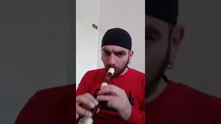 lambada flauto dolce😂
