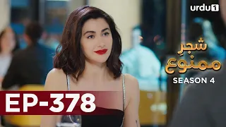 Shajar-e-Mamnu | Episode 378 | Turkish Drama  | Forbidden Fruit | Urdu Dubbing | 23 May 2022