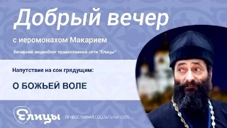 О БОЖЬЕЙ ВОЛЕ, чрезмерном уповании, подмене понятий, о совести и глупости. о.Макарий Маркиш