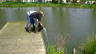 9 mai 24 - De Lombarde - des nouveaux poissons dans le lac