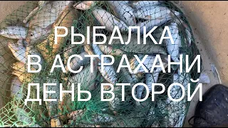 Рыбалка в Астрахани, рыбалка 2023, день второй, что приготовить на природе, простые рецепты.