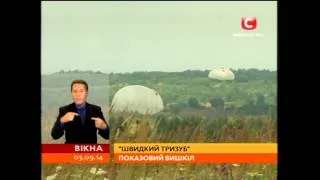 В Україні пройдуть військові навчання членів НАТО - Вікна-новини - 03.09.2014