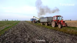 Claas Mega 360 /MTZ 80 és MTZ 892.2/ Kukorica Aratás