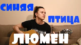 Люмен - Синяя птица (cover by Angel)