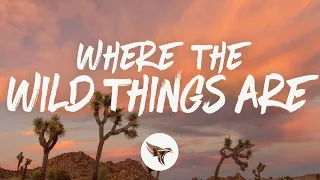 Luke Combs - Where the Wild Things Are (Lyrics)