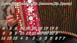 Вологда - видеоразбор(ноты,цифры) на гармони.