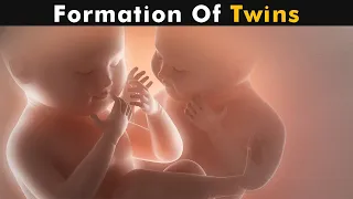 How Twins Are Formed? | Fraternal twins & identical twins (Urdu/Hindi)