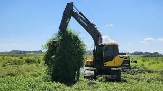 limpando vala // Escavadeira hidráulica volvo ec140 dlm