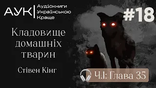 Стівен Кінг | Кладовище домашніх тварин | Глава 35 | Аудіокнига українською