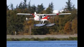 Hangar 9 DHC-2 Beaver 30cc ARF 110" Maiden on Floats (HAN4545)