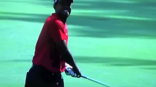 Tiger Woods Eagle- Masters 2011