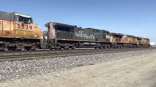 Southern Pacific Locomotive 6378. Beastly Union Pacific Manifest Train!