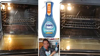 Clean a Dirty Oven with Dawn Powerwash | Cleaning with Wisdom Preserved