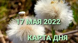 17  мая 2022 | карта дня | все знаки зодиака 🃏🍀💫