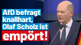 Regierungsbefragung: AfD-Fraktion grillt Kanzler Scholz! - AfD-Fraktion im Bundestag