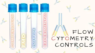 Flow Cytometry Controls (Intro to Flow - Episode 5)