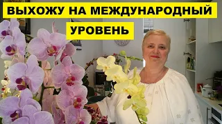 ВЫХОЖУ НА МЕЖДУНАРОДНЫЙ УРОВЕНЬ, ХА-ХА...