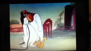 Foghorn Leghorn- Walky Talky Hawky Part 4