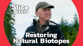 Nature Back to Life: Efforts to Restore Biotopes Across Europe | SLICE EARTH