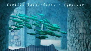 CLASSICAL - Camille Saint-Saëns - Aquarium (HQ)