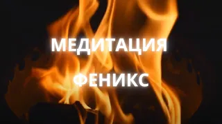 Медитация феникс