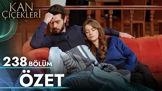 Kan Çiçekleri 238. Bölüm - Özet