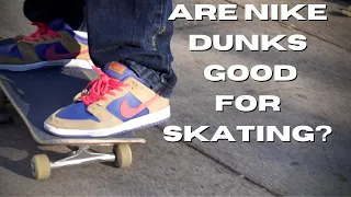 Are Dunks Good or JUST HYPE!