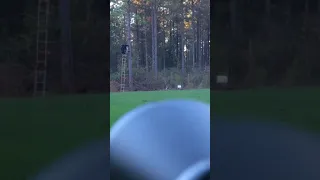 Deer does flip after being shot😂