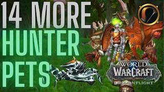 14 More Unique & Rare Pet Tames for all Specs | Dragonflight Hunter 10.0+