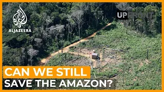 Are we running out of time to save the Amazon rainforest? | UpFront