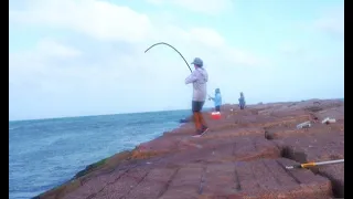 fishermen gets extremely lucky on the jetties -(monster fish caught)