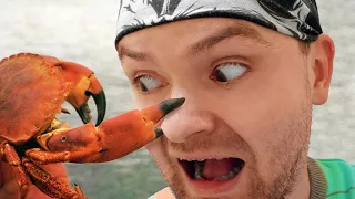 БОЕВОЙ КРАБ ► Fight Crab