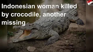 Indonesian woman killed by crocodile, another missing