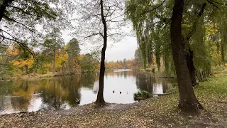 Парк Пуща-Водиця в Києві / Park Pushcha Voditsa, Kyiv