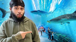 I Found WORLDS Biggest SHARK In Underground Aquarium