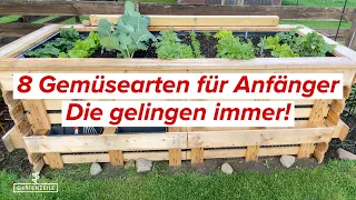 8 Gemüsearten für Anfänger | Eigenes Gemüse ganz einfach anbauen! Auch für den Balkon geeignet!