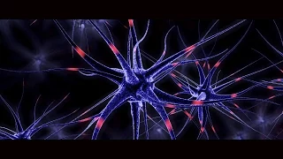 Nerve System Free Stock Footage